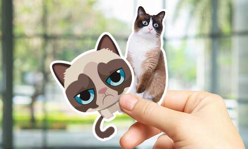 Cat Stickers