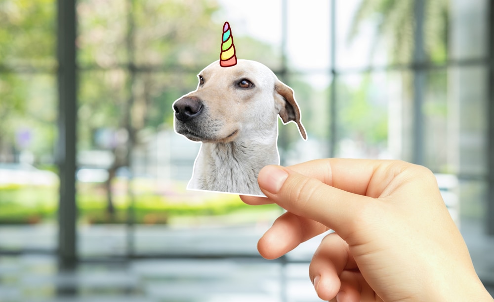 Dog Stickers