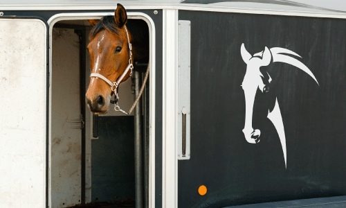 Horse Trailer Stickers